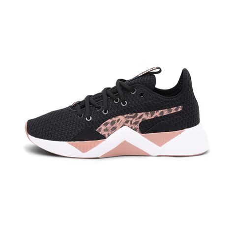 puma incite leopard.